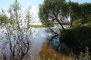 Биологи и экологи Демидовского университета приступили к исследованию Плещеева озера